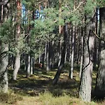 Kalinowa14 코팔리노