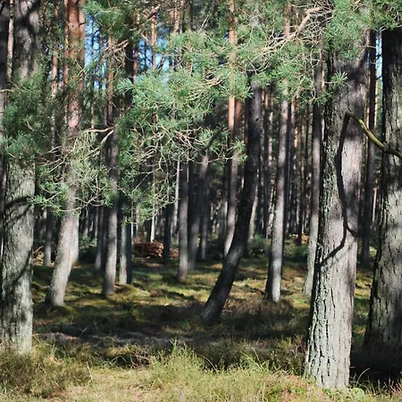 Kalinowa14 Kopalino