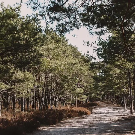 Kalinowa14 Nyaraló *