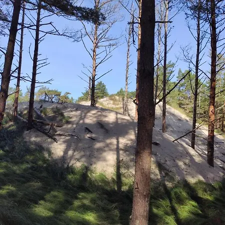 Kalinowa14 *