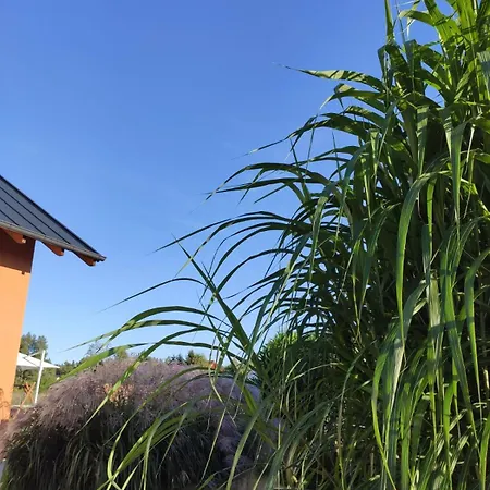 Casa vacanze Kalinowa14 Kopalino