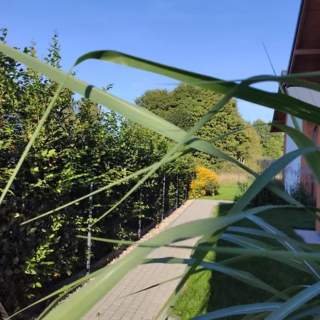 Kalinowa14 * Kopalino