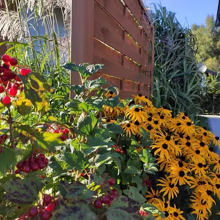 Kalinowa14 * Kopalino