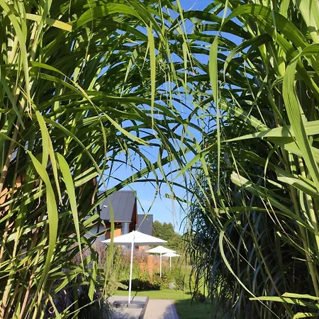 Kalinowa14 * 코팔리노