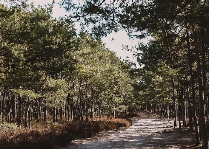 Kalinowa14 Prázdninový dům *