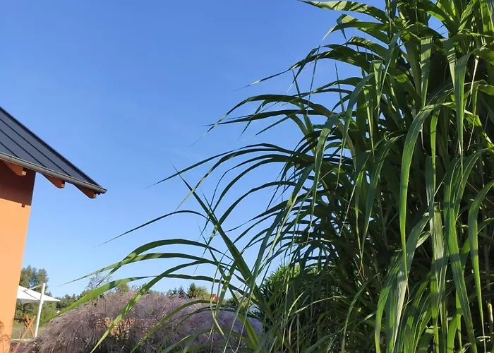 Prázdninový dům Kalinowa14 Kopalino