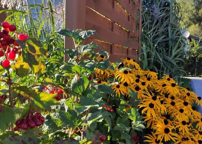 Kalinowa14 * Kopalino