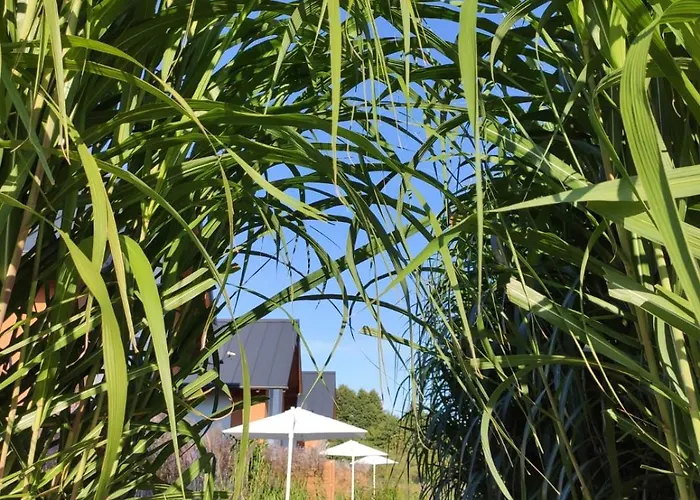 Kalinowa14 * Kopalino